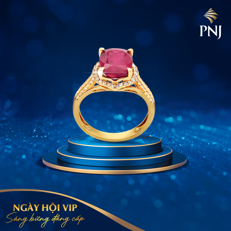 Ngày hội VIP - sáng bừng đẳng cấp! 11 ngay hoi vip sang bung dang cap 11