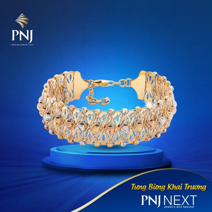 PNJ NEXT - KỶ NGUYÊN MỚI CHO NHỮNG GIÁ TRỊ ĐÍCH THỰC 8 pnj next ky nguyen moi cho nhung gia tri dich thuc 08