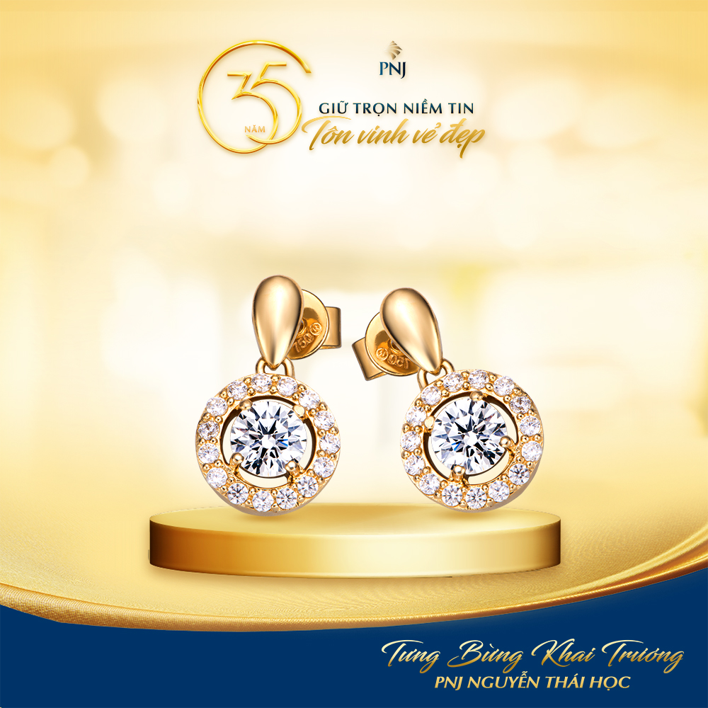 PNJ NGUYỄN THÁI HỌC: BỪNG SÁNG KHÔNG GIAN MỚI - XỨNG TẦM ĐẲNG CẤP RIÊNG 5 05