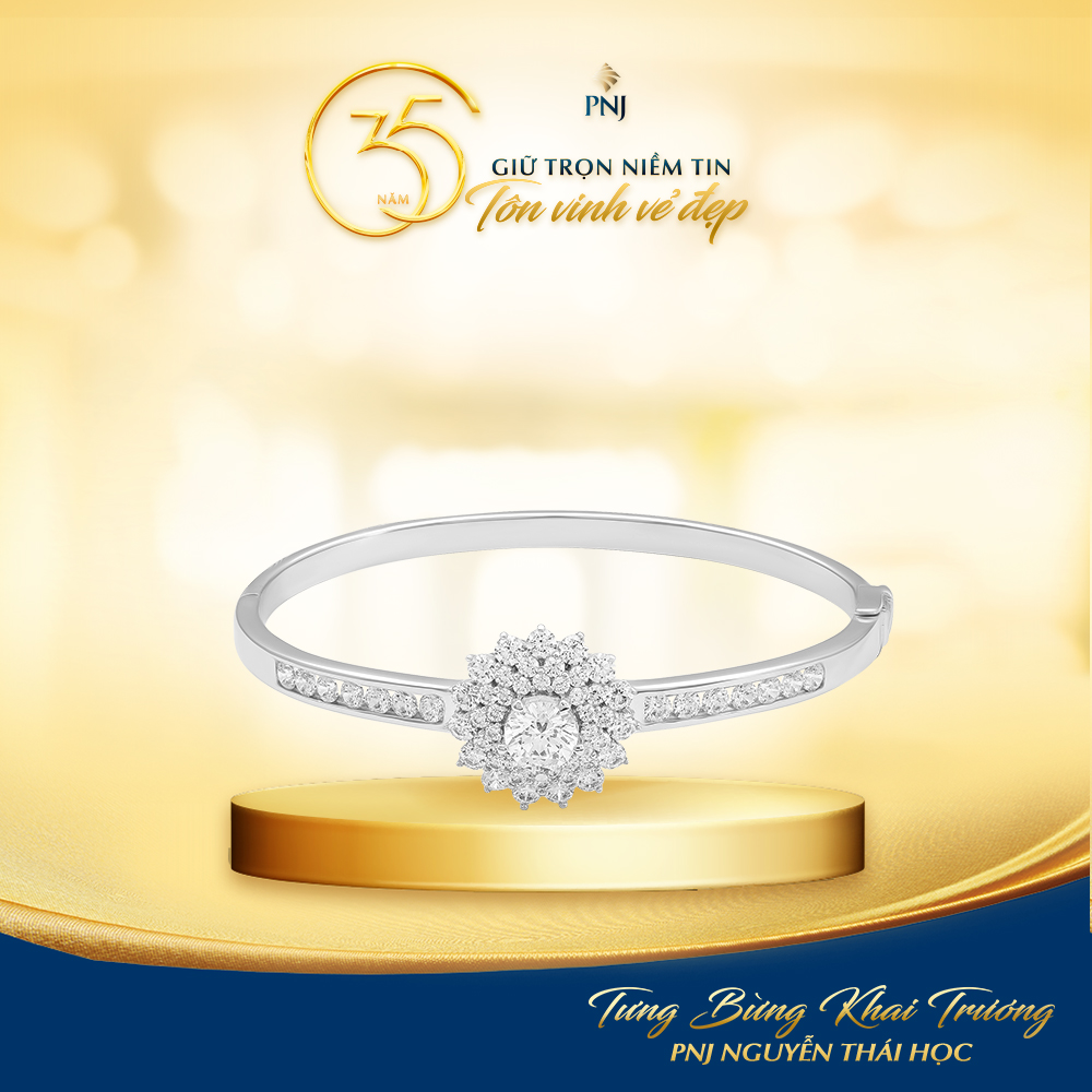 PNJ NGUYỄN THÁI HỌC: BỪNG SÁNG KHÔNG GIAN MỚI - XỨNG TẦM ĐẲNG CẤP RIÊNG 6 06