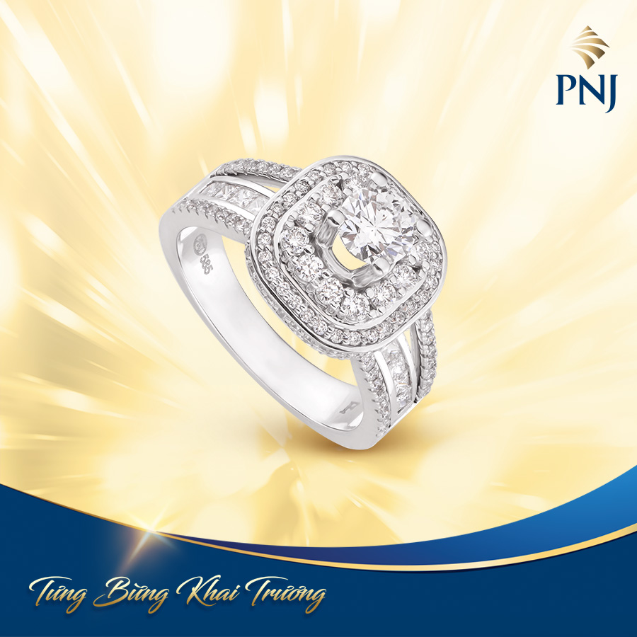 TƯNG BỪNG KHAI TRƯƠNG TRUNG TÂM KIM HOÀN PNJ 1231 Quốc lộ 1A, Bình Tân, TP. HCM 5 5 1