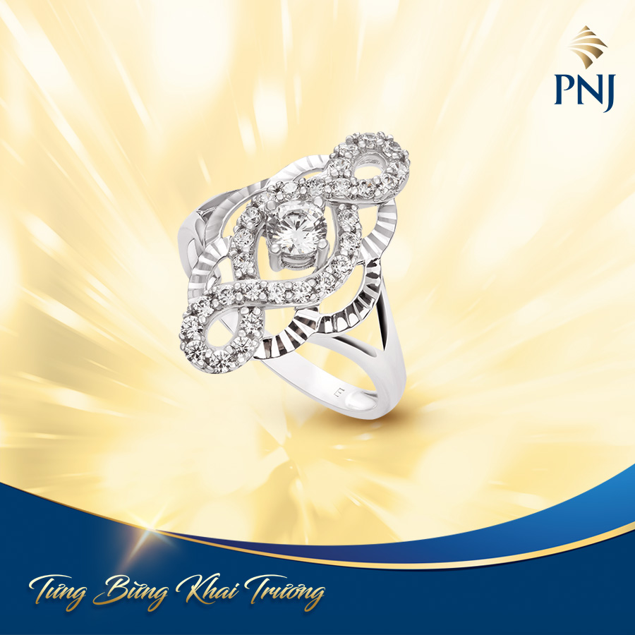 TƯNG BỪNG KHAI TRƯƠNG TRUNG TÂM KIM HOÀN PNJ 1231 Quốc lộ 1A, Bình Tân, TP. HCM 7 7