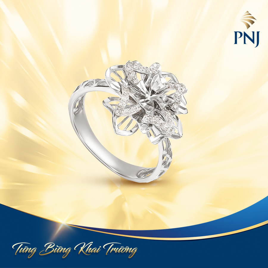 TƯNG BỪNG KHAI TRƯƠNG TRUNG TÂM KIM HOÀN PNJ 1231 Quốc lộ 1A, Bình Tân, TP. HCM 8 8