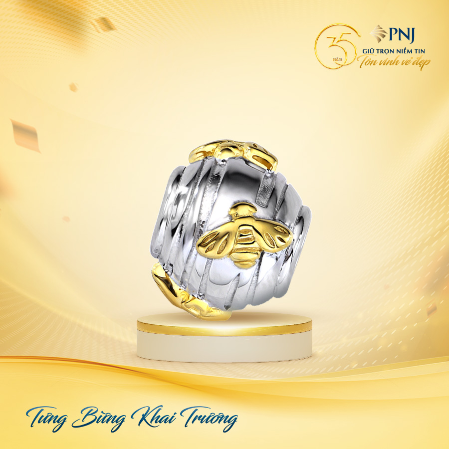 KHAI TRƯƠNG TRUNG TÂM KIM HOÀN PNJ PNJ 909 HẬU GIANG, QUẬN 6, TP. HCM 6 06 2