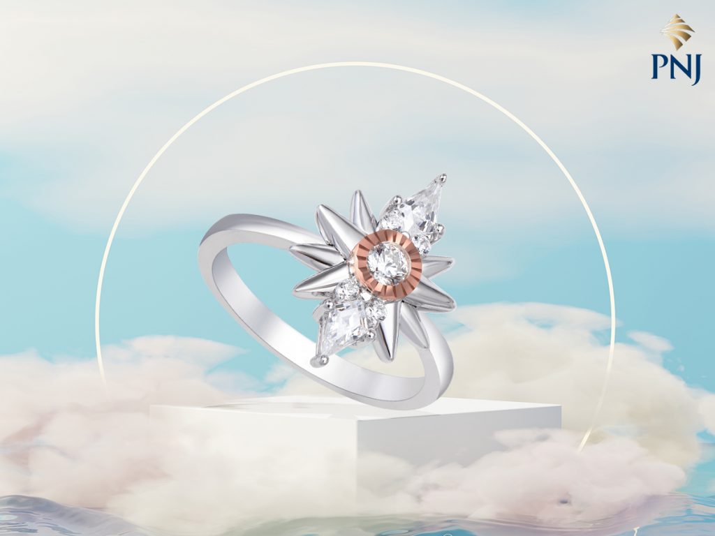 Goi y qua tang trang suc cho doi tac de that chat niem tin trong ngay Doanh Nhan Viet Nam 1