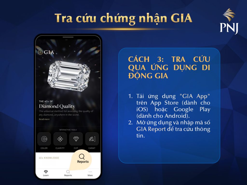 GIA 3