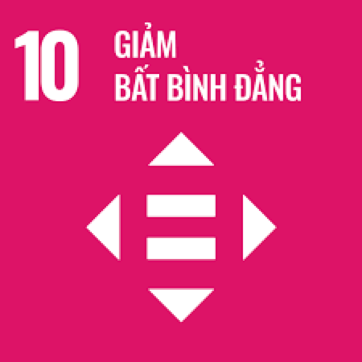 SDG 10