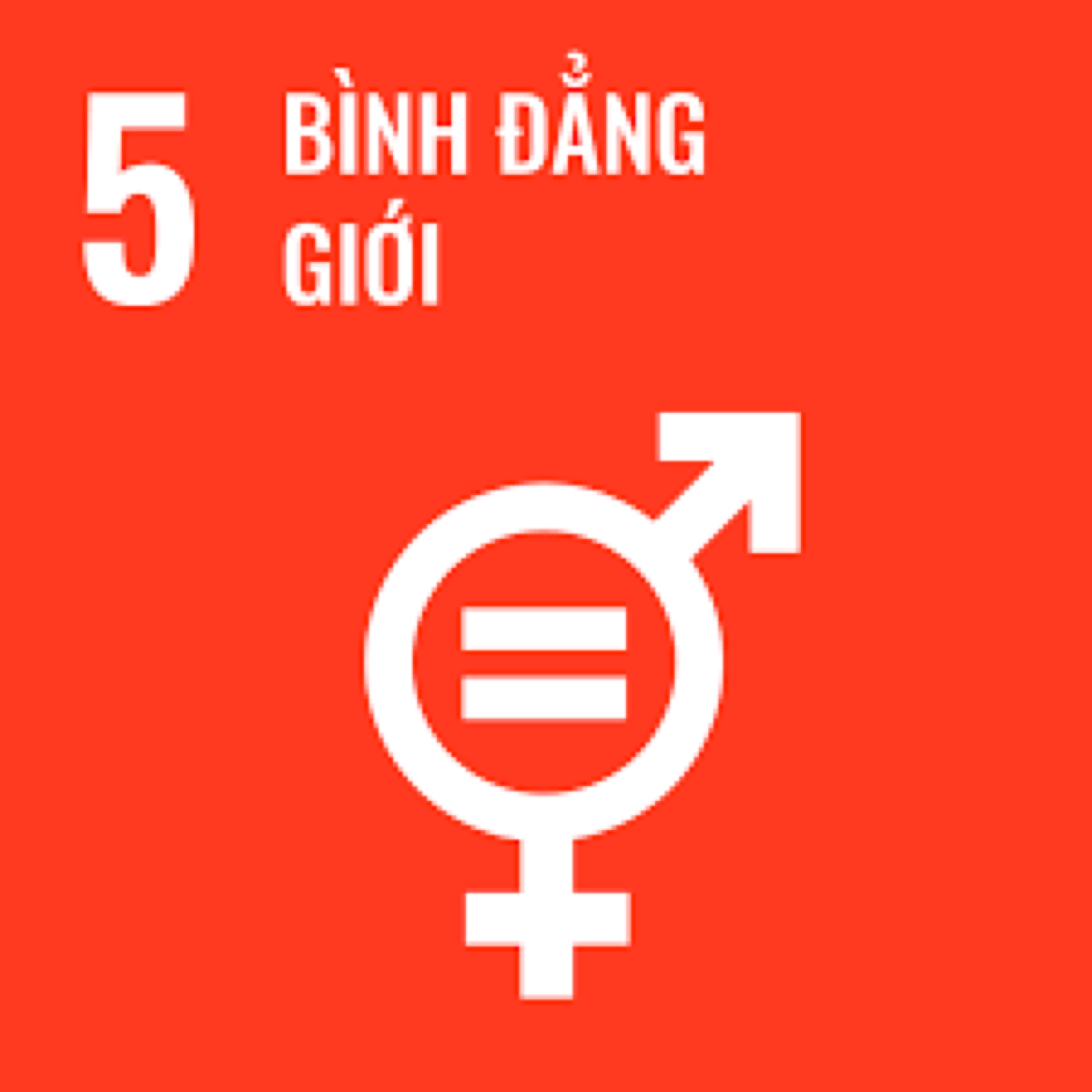 SDG 5